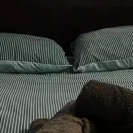 T3 Meuble Sejour Pro Famille Hyper Centre