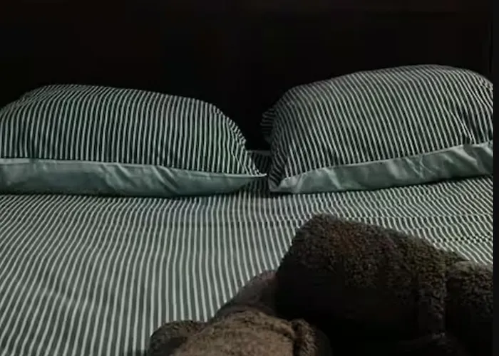 T3 Meuble Sejour Pro Famille Hyper Centre