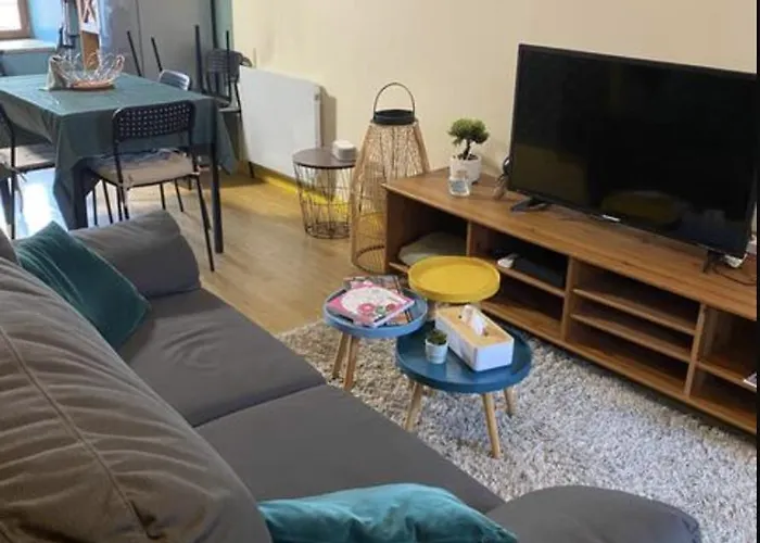 T3 Meuble Sejour Pro Famille Hyper Centre